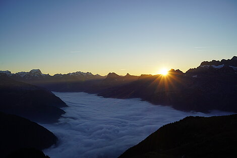 Foto MM Winterhilfe